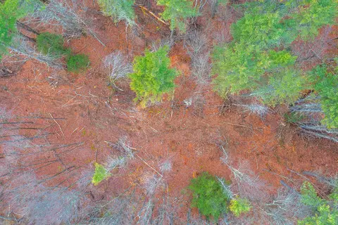 40 E Putney Brook Rd, Putney, VT 05346 photo 31