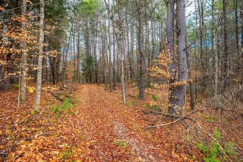 40 E Putney Brook Rd, Putney, VT 05346 photo 16