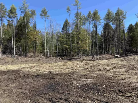 40 E Putney Brook Rd, Putney, VT 05346 photo 47