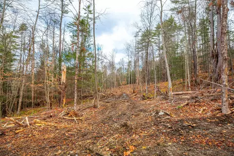 40 E Putney Brook Rd, Putney, VT 05346 photo 25