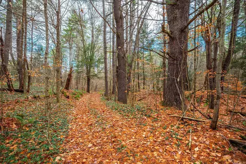40 E Putney Brook Rd, Putney, VT 05346 photo 17