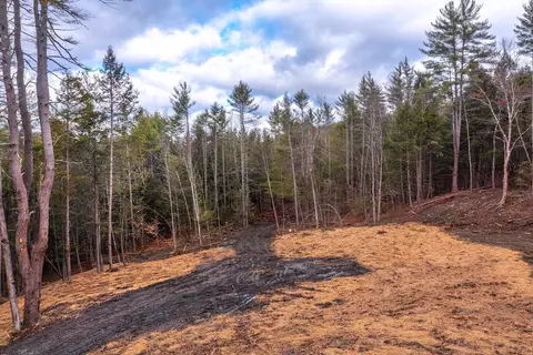 40 E Putney Brook Rd, Putney, VT 05346 photo 9