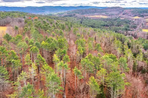 40 E Putney Brook Rd, Putney, VT 05346 photo 36