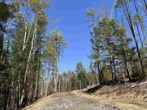 40 E Putney Brook Rd, Putney, VT 05346 photo 42