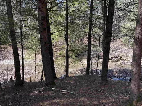 40 E Putney Brook Rd, Putney, VT 05346 photo 50