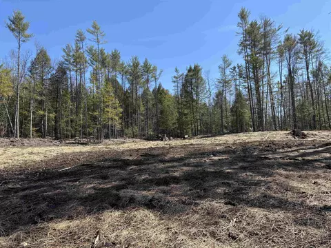 40 E Putney Brook Rd, Putney, VT 05346 photo 48