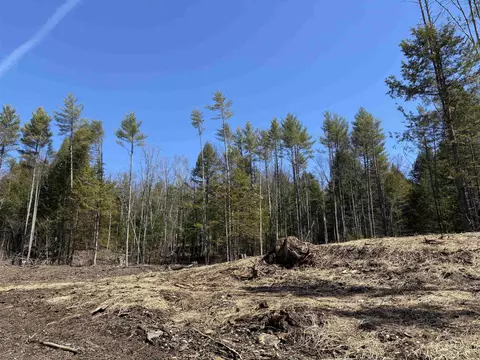 40 E Putney Brook Rd, Putney, VT 05346 photo 44