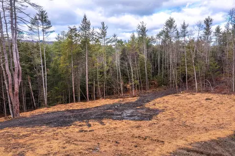 40 E Putney Brook Rd, Putney, VT 05346 photo 10