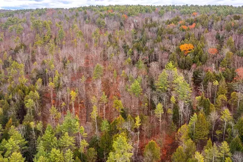 40 E Putney Brook Rd, Putney, VT 05346 photo 34