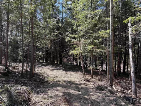 40 E Putney Brook Rd, Putney, VT 05346 photo 49