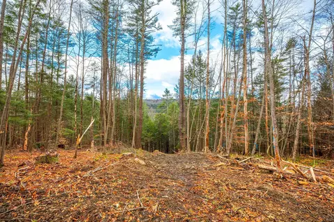 40 E Putney Brook Rd, Putney, VT 05346 photo 26