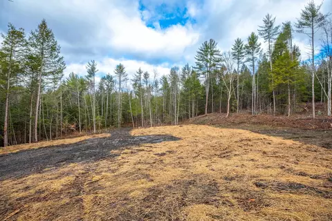 40 E Putney Brook Rd, Putney, VT 05346 photo 8