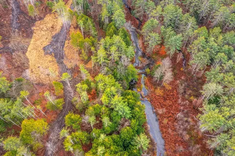 40 E Putney Brook Rd, Putney, VT 05346 photo 13