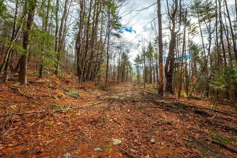 40 E Putney Brook Rd, Putney, VT 05346 photo 29