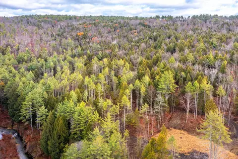 40 E Putney Brook Rd, Putney, VT 05346 photo 30