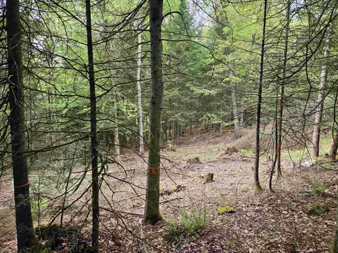35 Langway Rd, Lyman, NH 03585