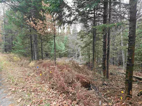 35 Langway Rd, Lyman, NH 03585