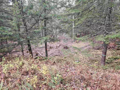 35 Langway Rd, Lyman, NH 03585