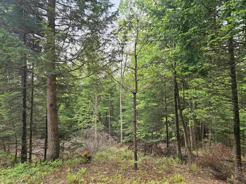 35 Langway Rd, Lyman, NH 03585