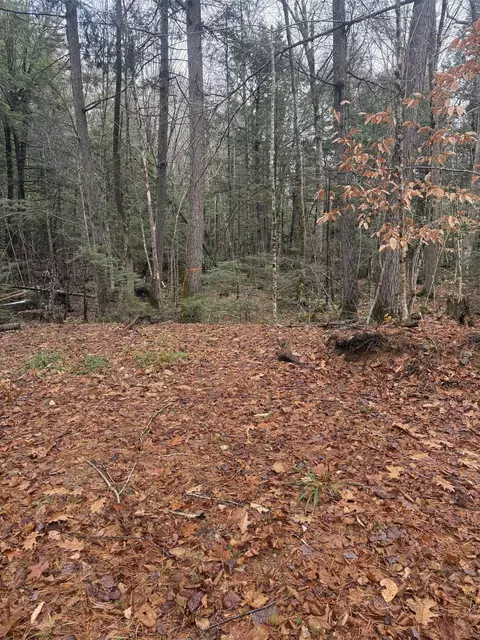 00 Partridge Hill Rd #84, Sandwich, NH 03227