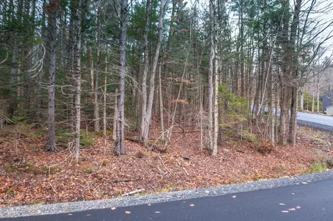 63 Villager Loop, Dover, VT 05356