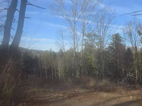 00 Will Dean Rd, Springfield, VT 05156