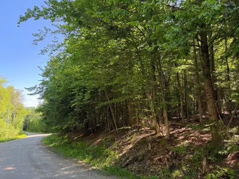311 Beechwood Ln #19, Peru, VT 05152