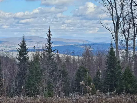 706 Vt Route 100, Stratton, VT 05360 photo 3