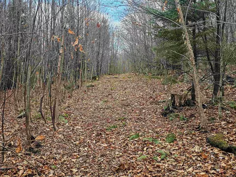 706 Vt Route 100, Stratton, VT 05360 photo 17