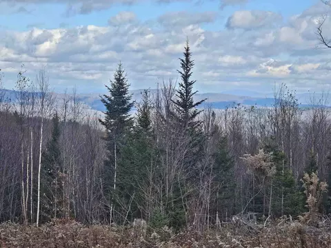 706 Vt Route 100, Stratton, VT 05360