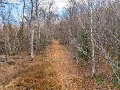 706 Vt Route 100, Stratton, VT 05360 photo 26