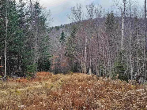 706 Vt Route 100, Stratton, VT 05360 photo 12