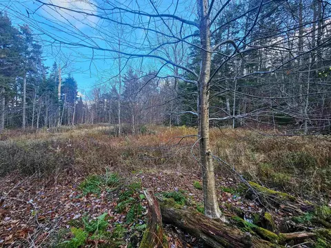 706 Vt Route 100, Stratton, VT 05360 photo 11