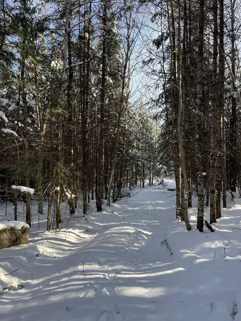 0 Shadow Lake Rd, Glover, VT 05839 photo 11