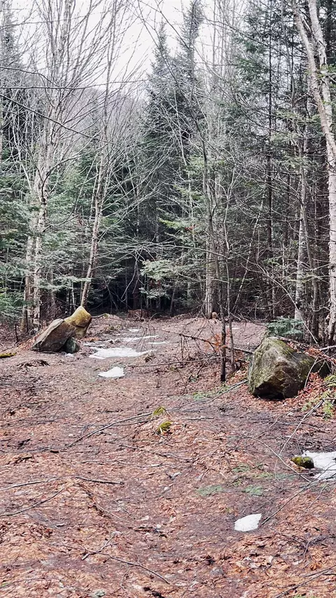0 Shadow Lake Rd, Glover, VT 05839 photo 42