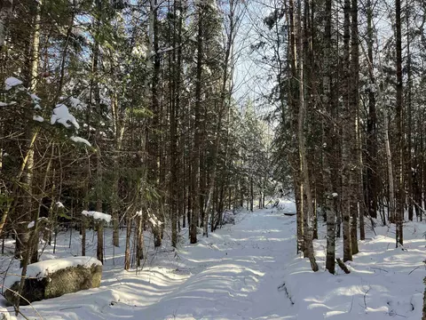 0 Shadow Lake Rd, Glover, VT 05839 photo 10