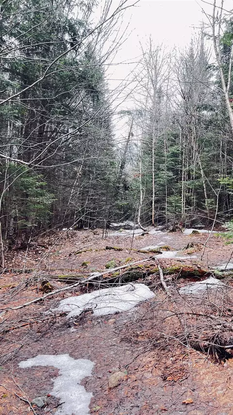 0 Shadow Lake Rd, Glover, VT 05839 photo 41