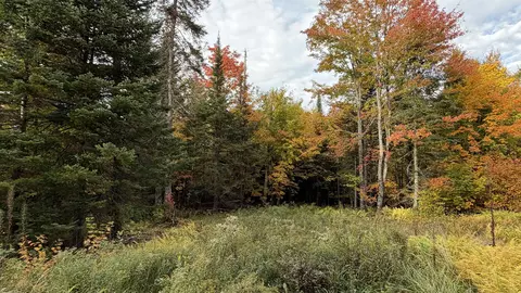 0 Shadow Lake Rd, Glover, VT 05839
