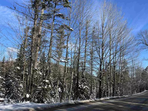 0 Shadow Lake Rd, Glover, VT 05839 photo 8