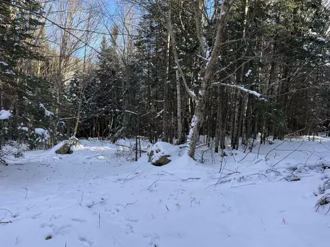 0 Shadow Lake Rd, Glover, VT 05839 photo 5