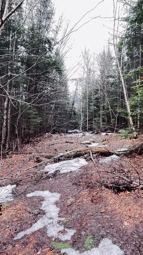 0 Shadow Lake Rd, Glover, VT 05839 photo 35