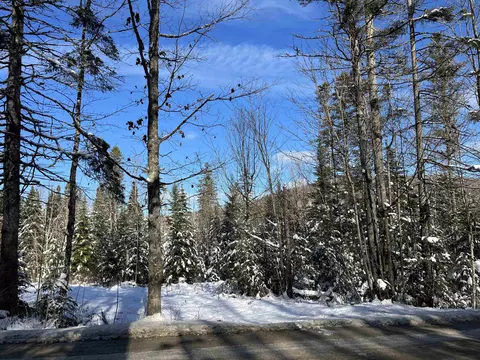 0 Shadow Lake Rd, Glover, VT 05839 photo 9