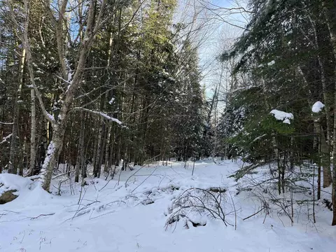 0 Shadow Lake Rd, Glover, VT 05839 photo 3
