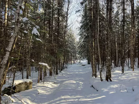 0 Shadow Lake Rd, Glover, VT 05839 photo 2