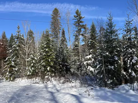 0 Shadow Lake Rd, Glover, VT 05839 photo 6