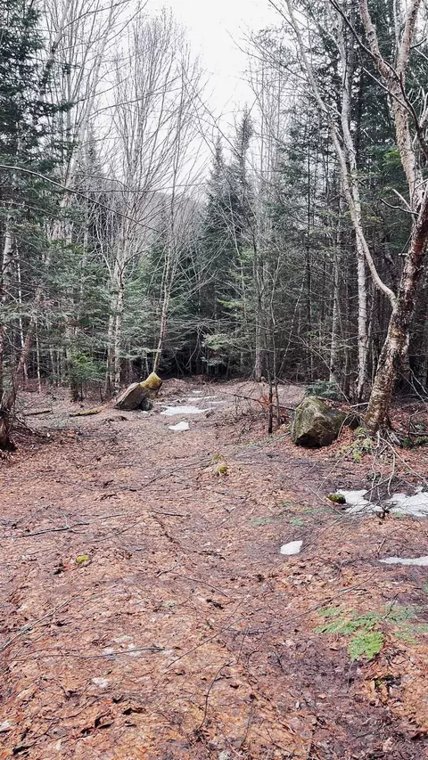 0 Shadow Lake Rd, Glover, VT 05839 photo 37