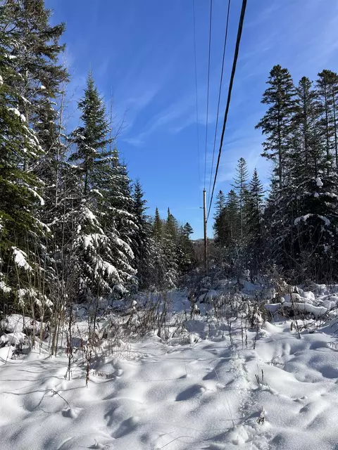 0 Shadow Lake Rd, Glover, VT 05839 photo 7