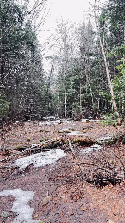 0 Shadow Lake Rd, Glover, VT 05839 photo 34