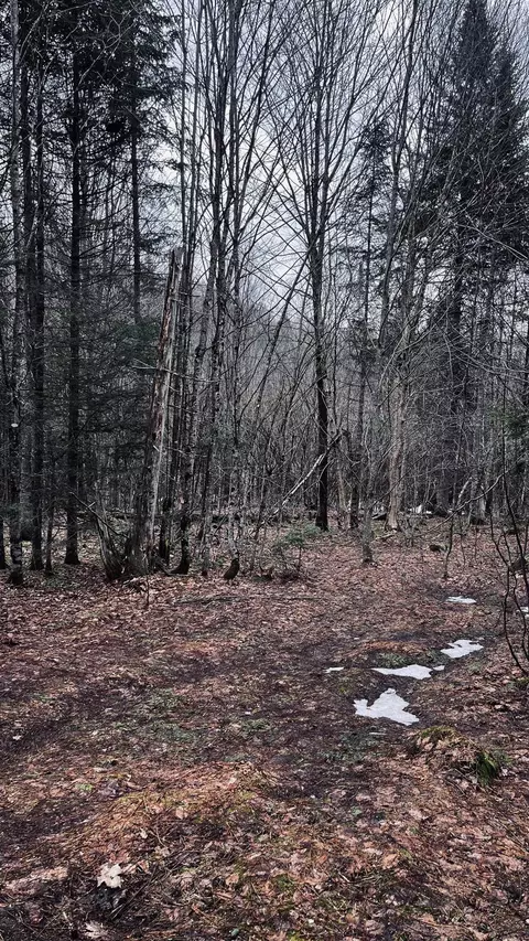 0 Shadow Lake Rd, Glover, VT 05839 photo 31