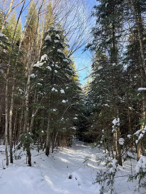 0 Shadow Lake Rd, Glover, VT 05839 photo 4